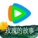 [公益] 深圳甘露S西安招奴